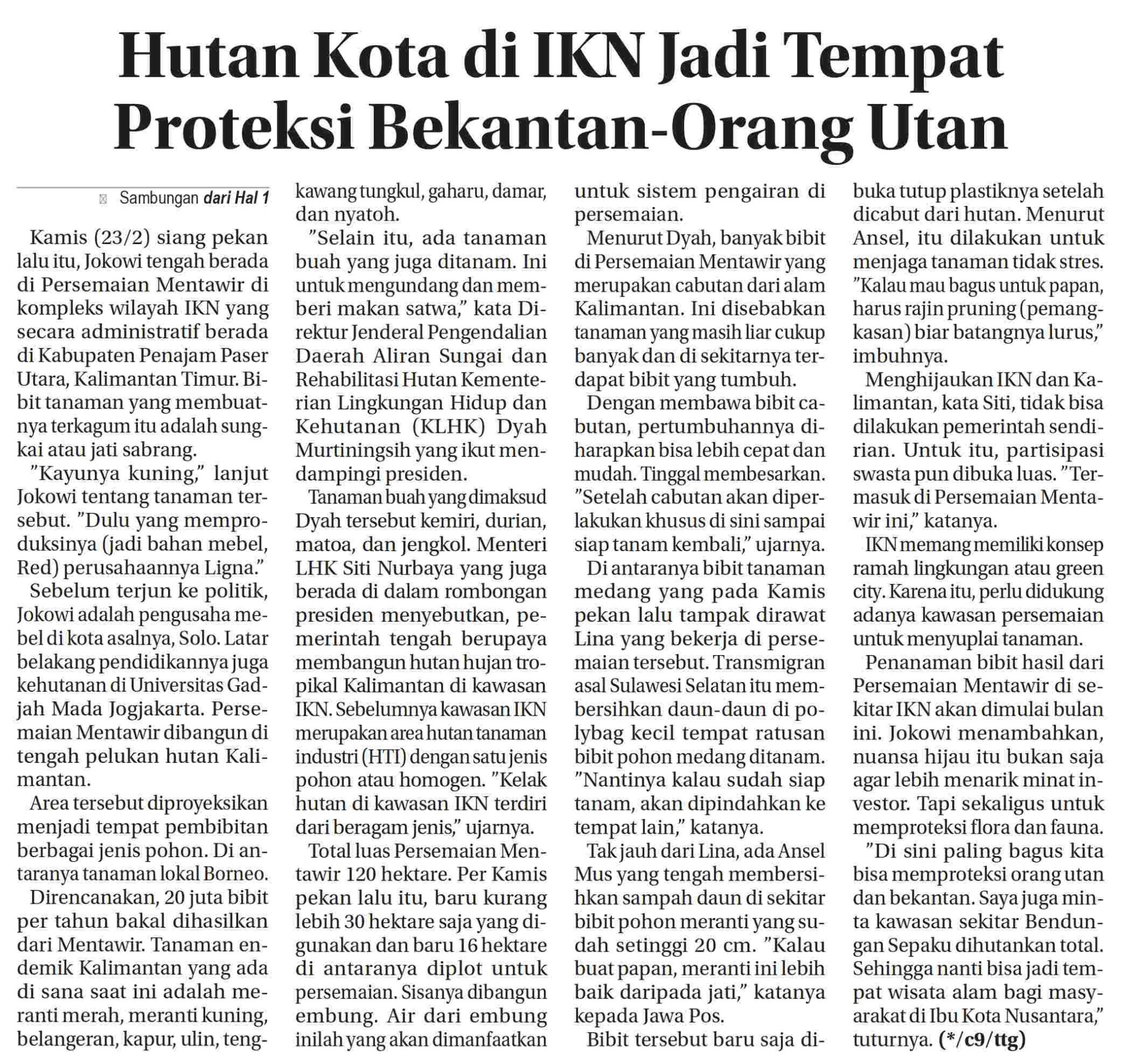 Hutan Kota Di Ikn Jadi Tempat Proteksi Bekabntan Orang Utan Koran