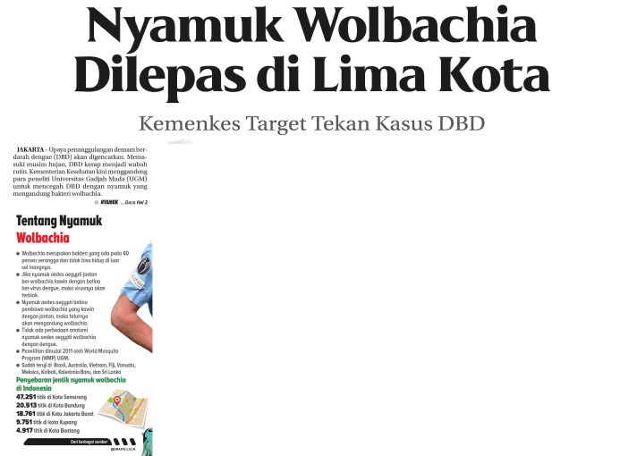 Nyamuk Wolbachia Dilepas Di Lima Kota Koran Humas Ugm Ac Id